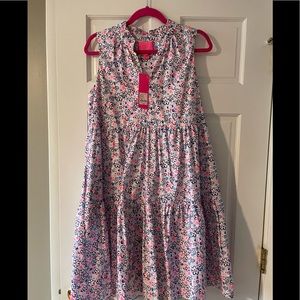 Lilly Pulitzer Novella dress NWT L